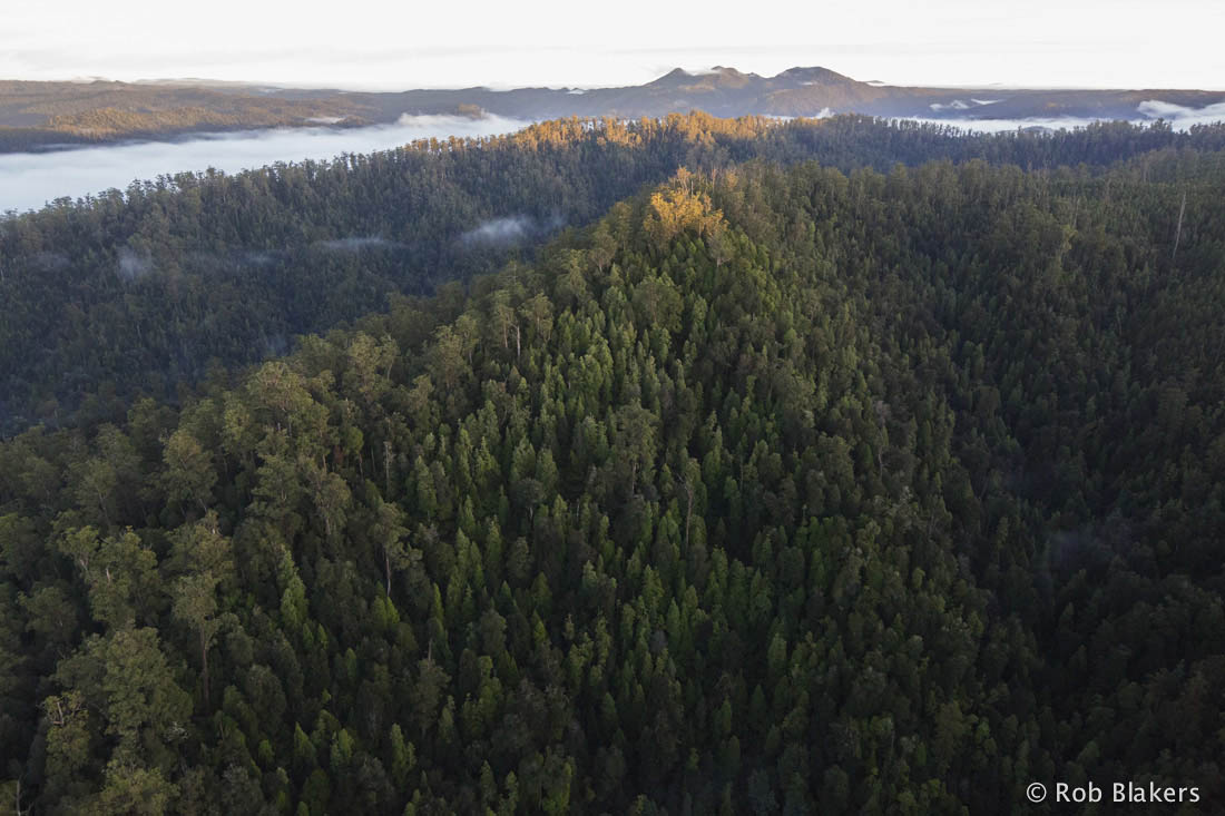 photograph of Huskisson wilderness